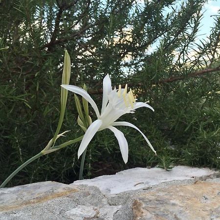 Ca' Di Bianca Hotel Moneglia Eksteriør billede